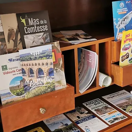 La Flemme En Rose Aigues-Mortes